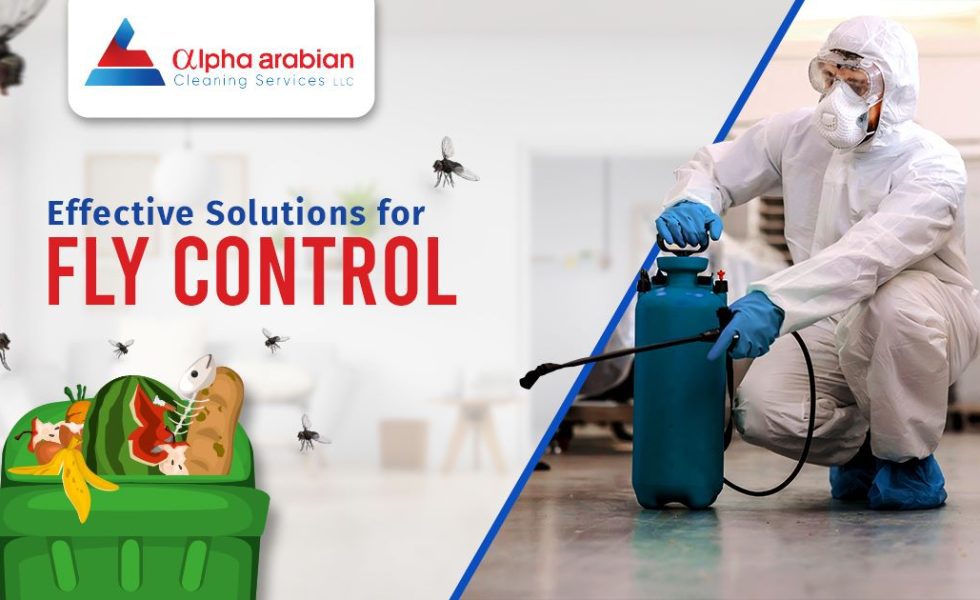 Flies Control in Dubai