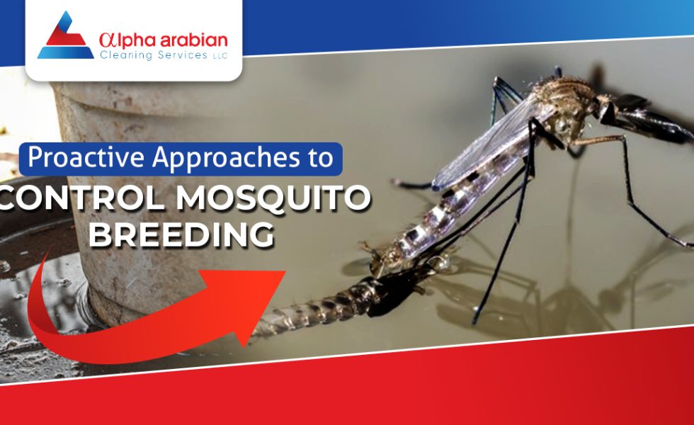 Control Mosquito Breeding