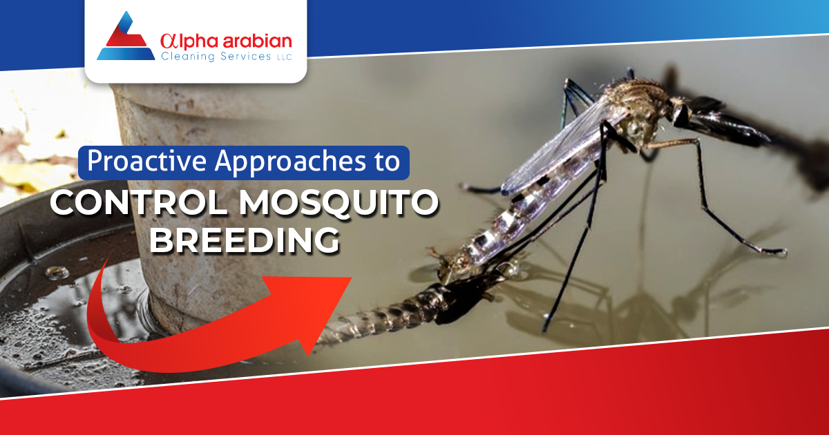 Control Mosquito Breeding