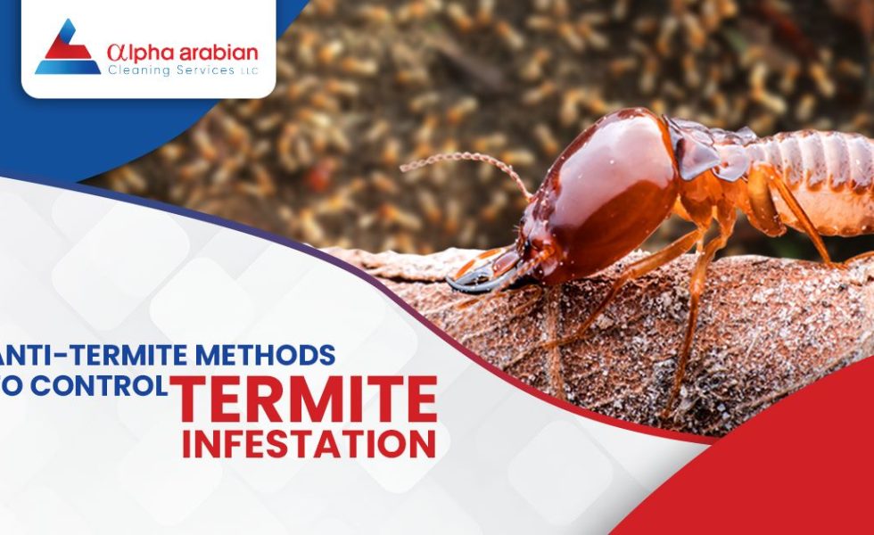 Anti-termite methods