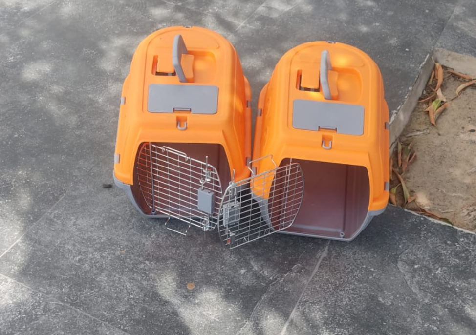 Cat control Services Dubai Best Animal controlAlpha Arabian