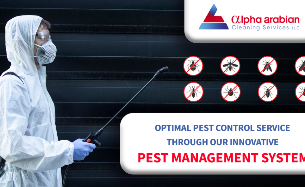 Pest Control Service through our innovative pest management system