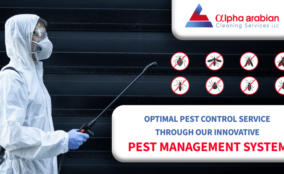 Pest Control Service through our innovative pest management system