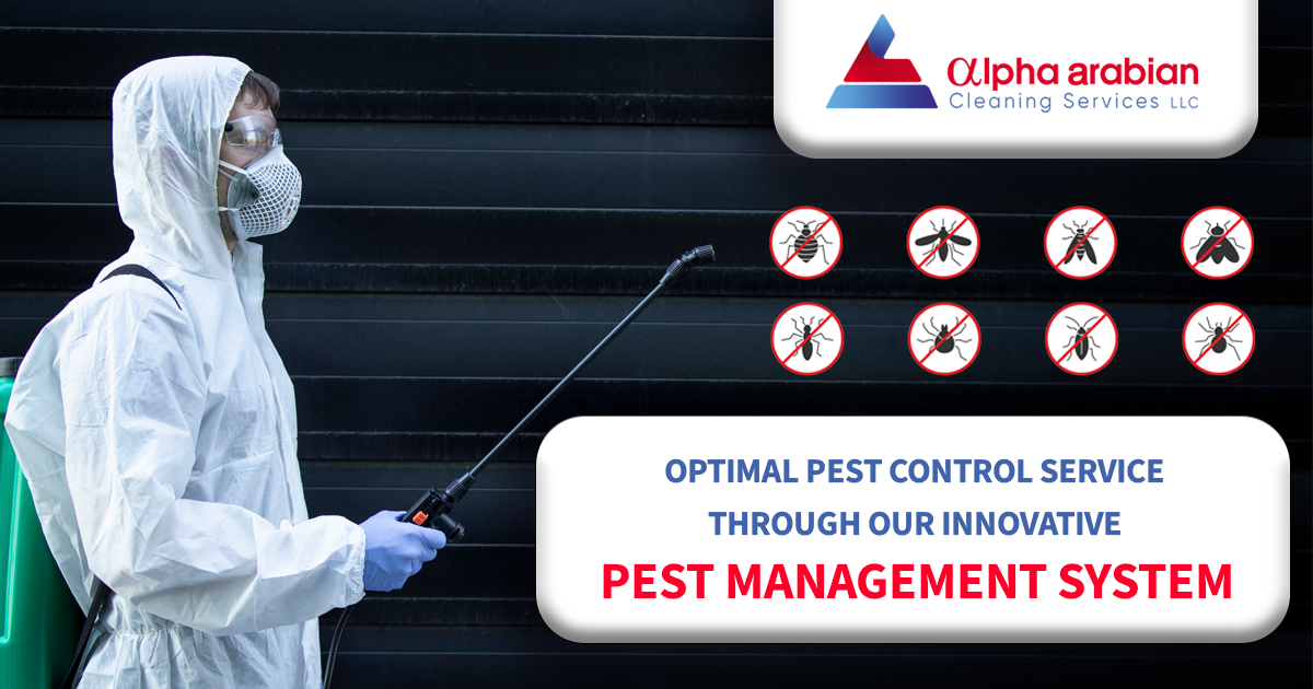 Pest Control Service through our innovative pest management system