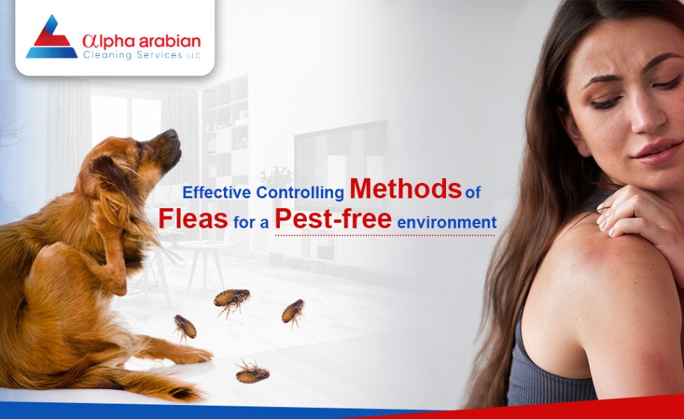 Controlling Methods of Fleas
