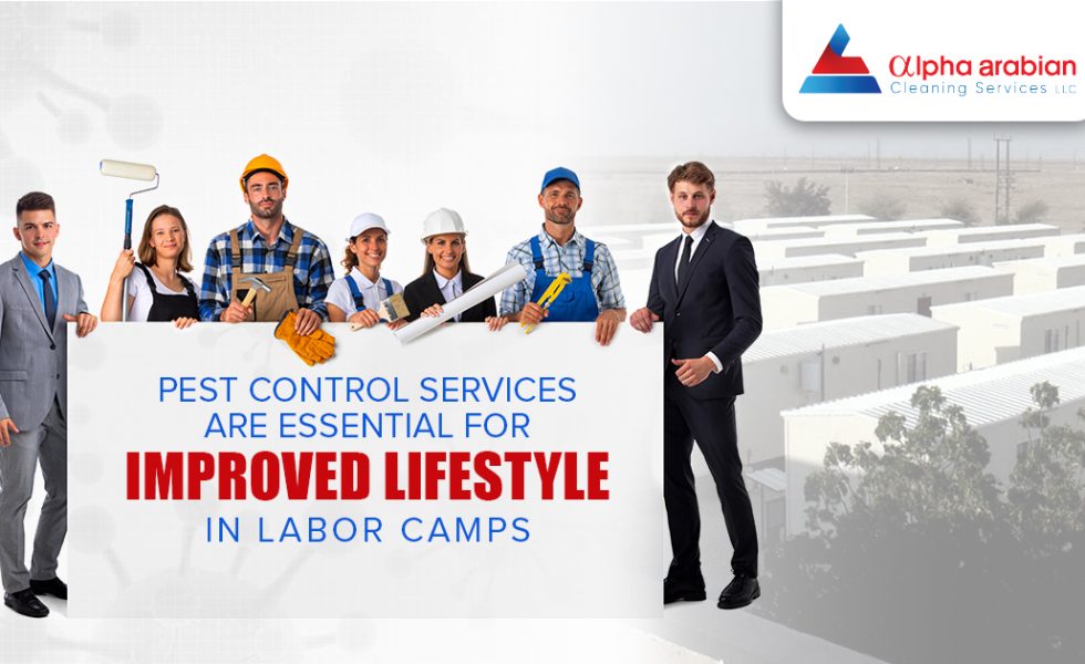 Pest Control Services for improved Life Style in Labour Camps