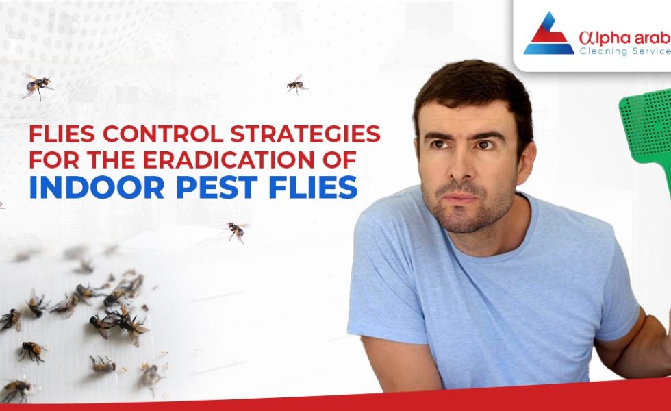 Flies Control strategies