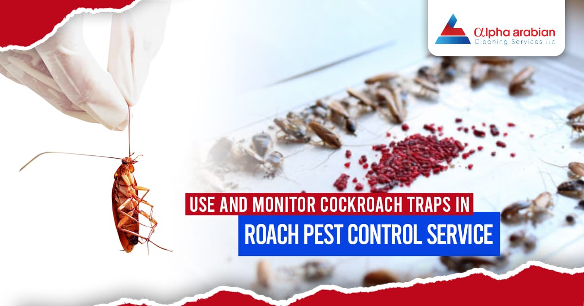 use and monitor cockroach traps in roach pest control service
