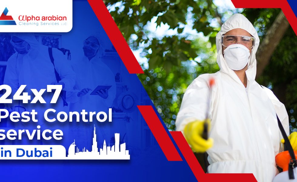 24*7 pest control service in Dubai