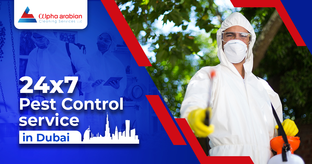 24*7 pest control service in Dubai