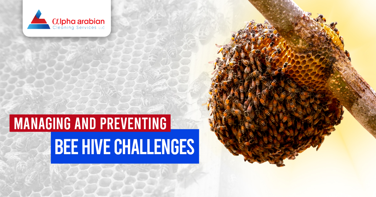 Bee hive Challenges