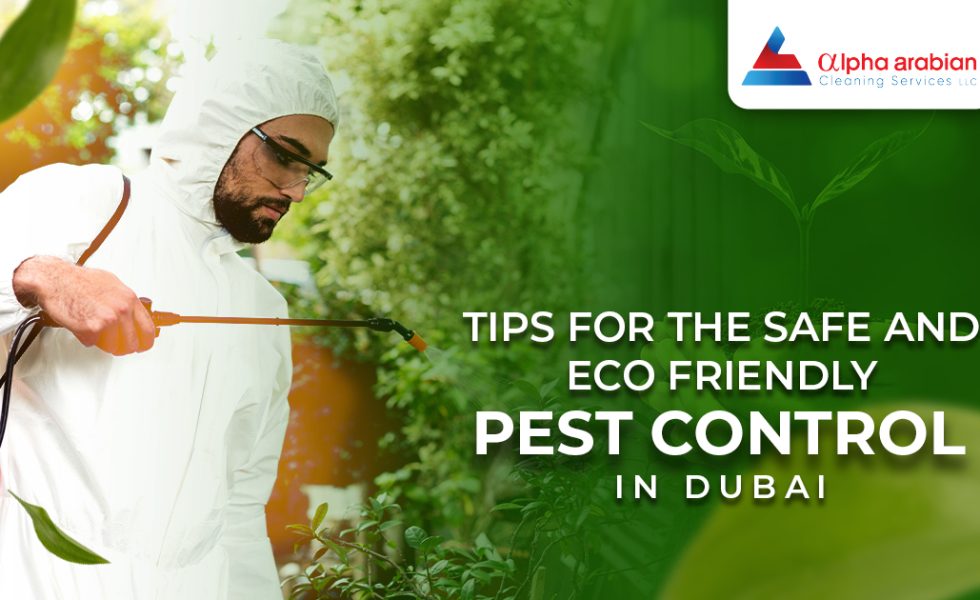 Pest Control in Dubai