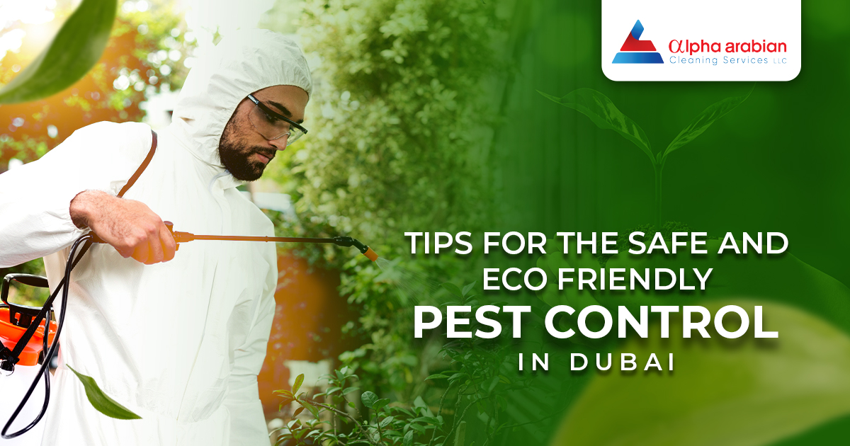 Pest Control in Dubai