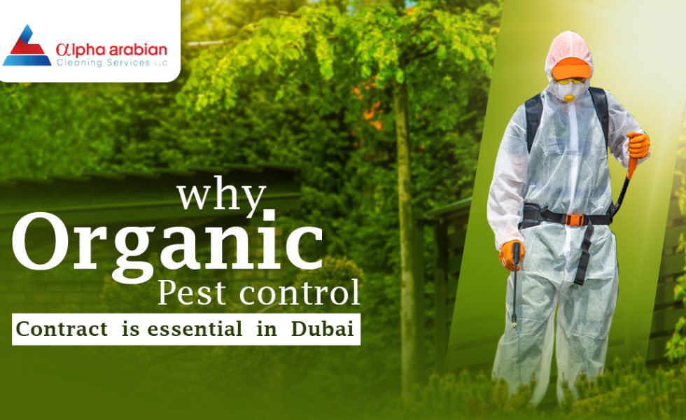 Pest Prevention in Dubai