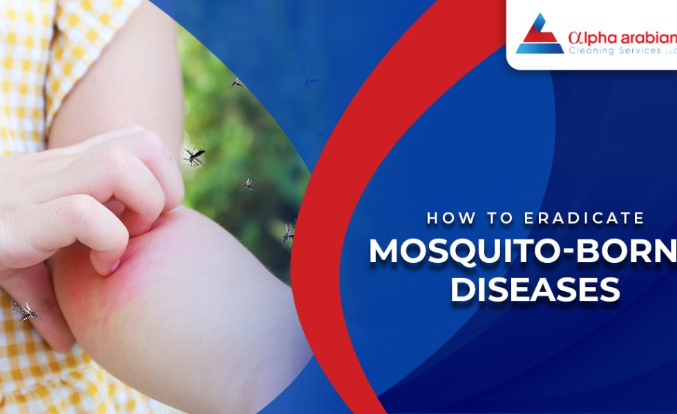 Mosquito Infestation in Dubai