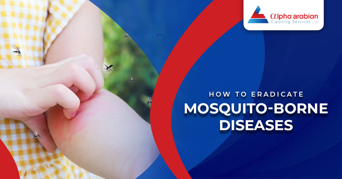 Mosquito Infestation in Dubai