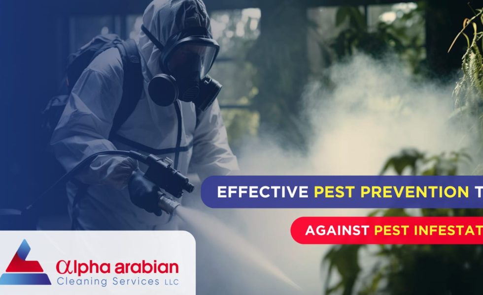 Pest Prevention Tips against Pest Infestation
