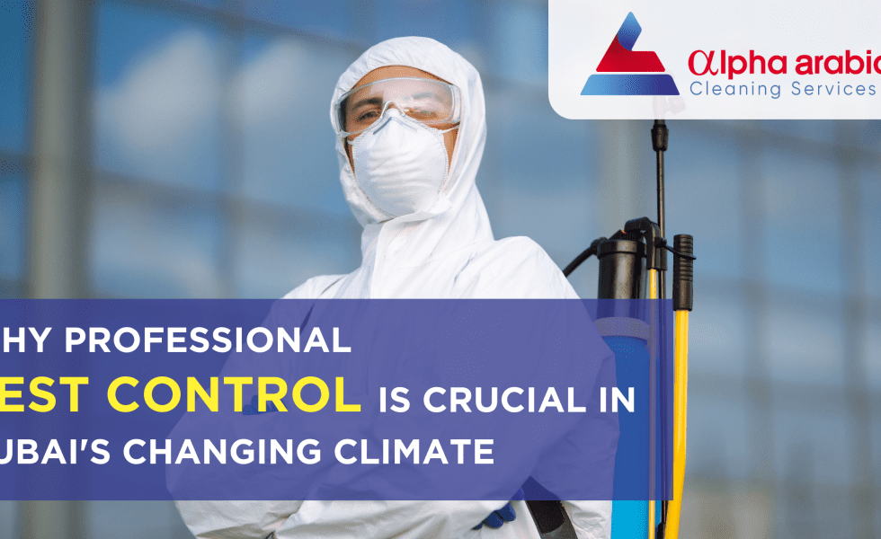 Professional Pest Control is Crucial in Dubai's Changing Climate