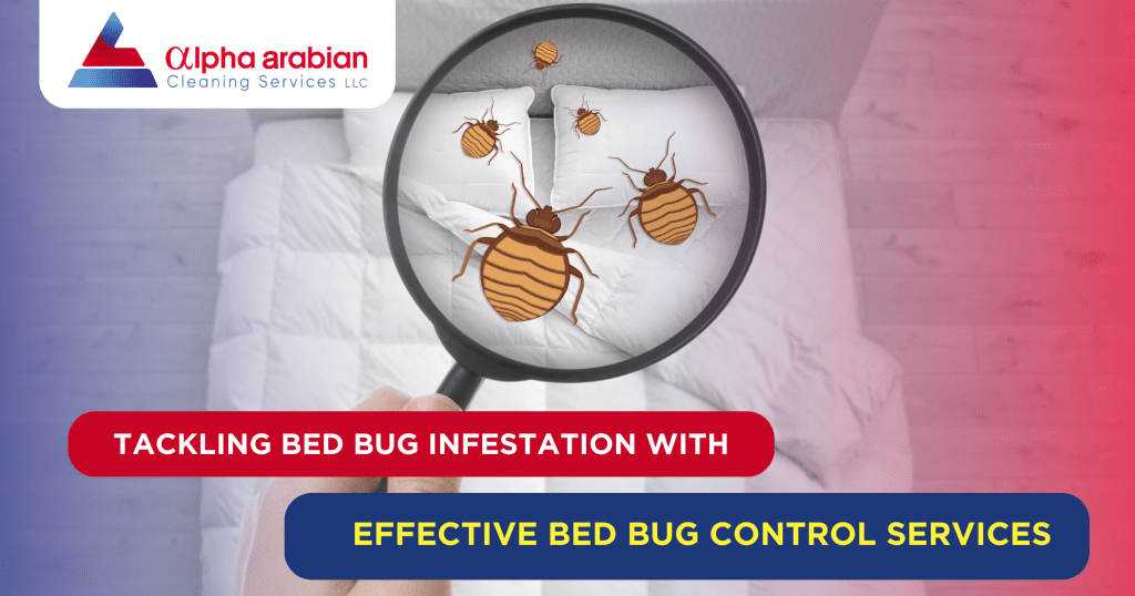 Tackling Bed Bug Infestation with effective Services