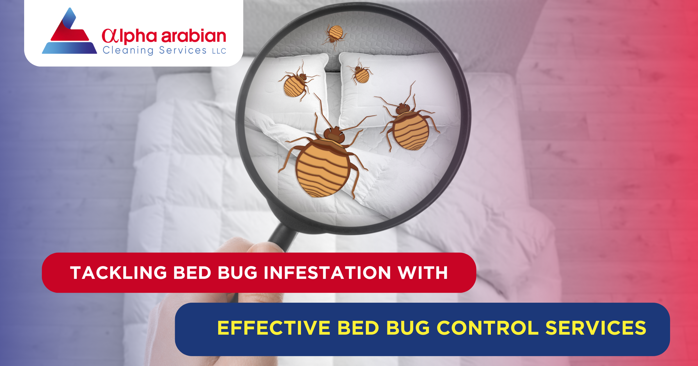 bedbug control service