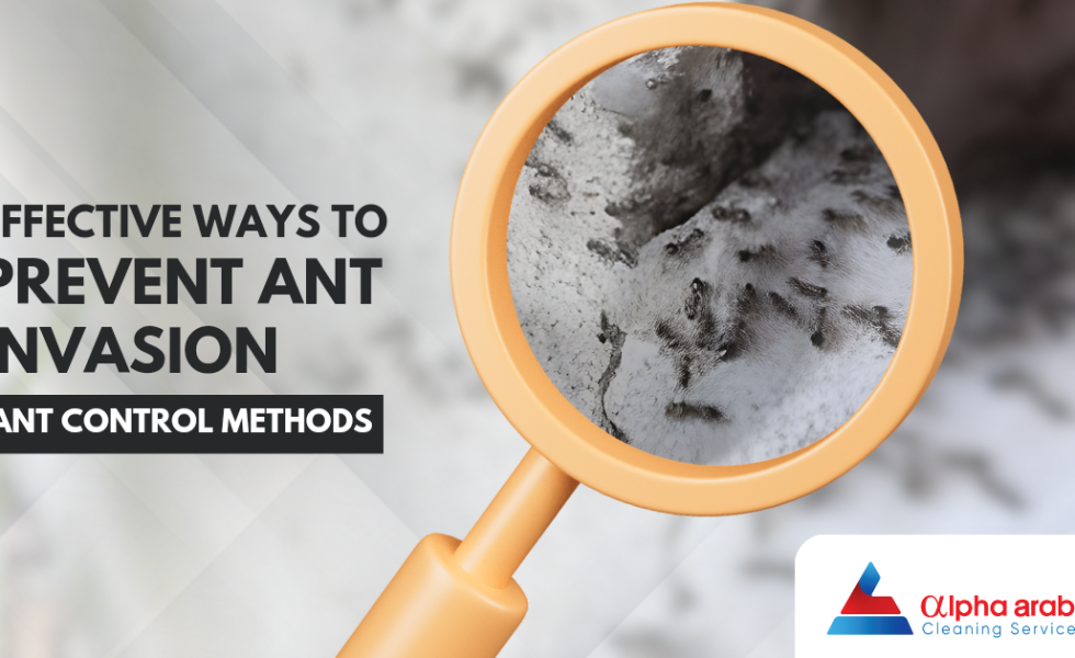 Prevent Ant Invasion - Ant Control Methods