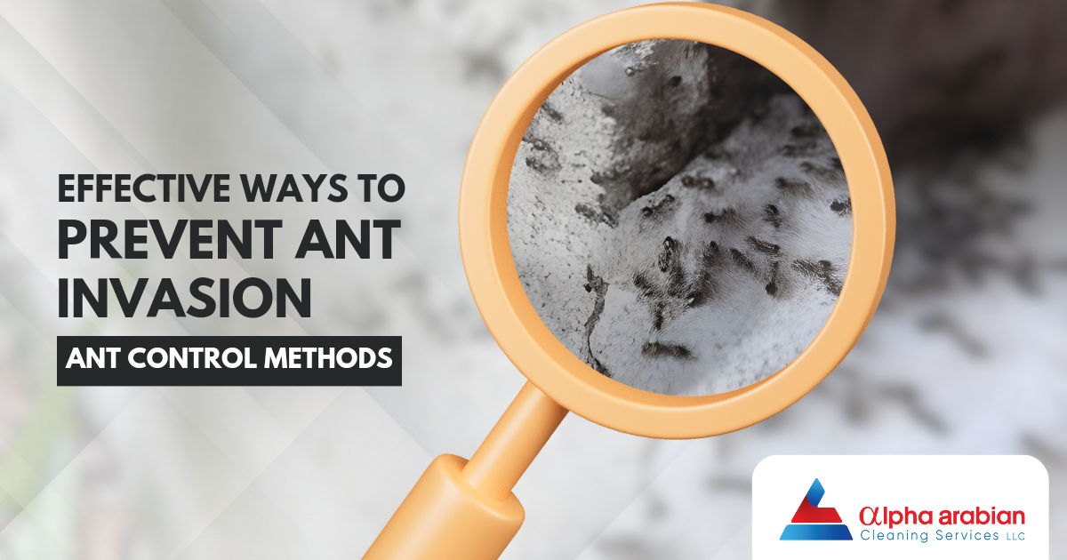 Prevent Ant Invasion - Ant Control Methods