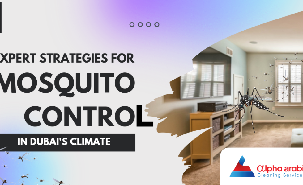 Expert Strategies for Mosquito Control in Dubai's Climate