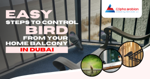 Easy steps to control Bird from your Home Balcony in Dubai
