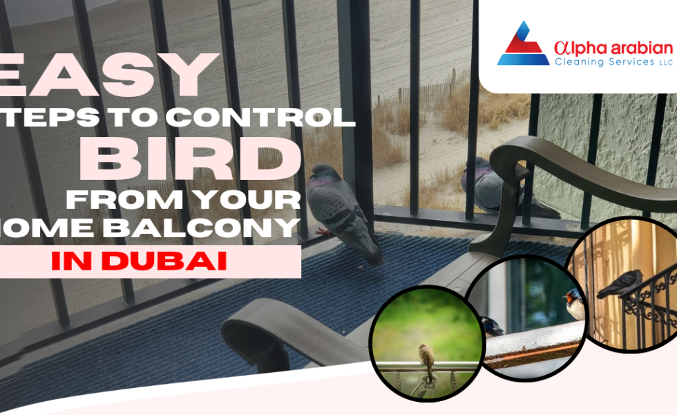 Easy steps to control Bird from your Home Balcony in Dubai
