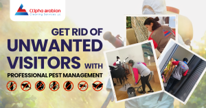 Get Rid of Unwanted Visitors with Professional Pest Management