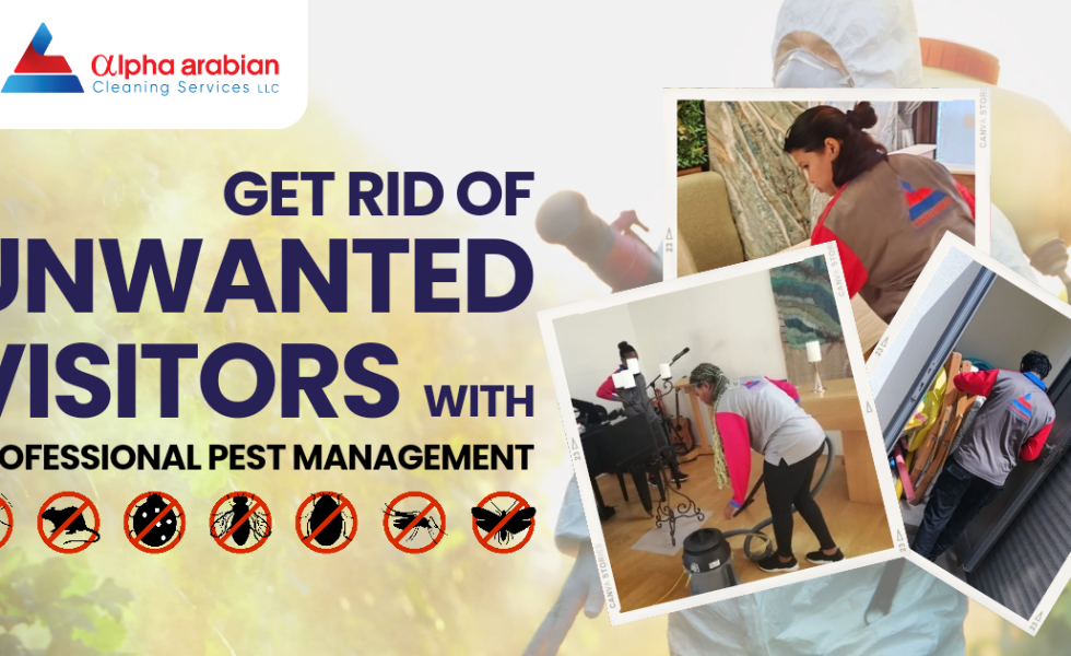 Get Rid of Unwanted Visitors with Professional Pest Management