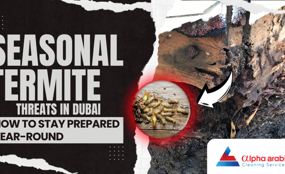 Termite Threats in Dubai