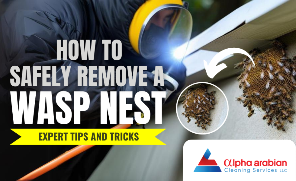 How to Safely Remove a Wasp Nest: Expert Tips and Tricks