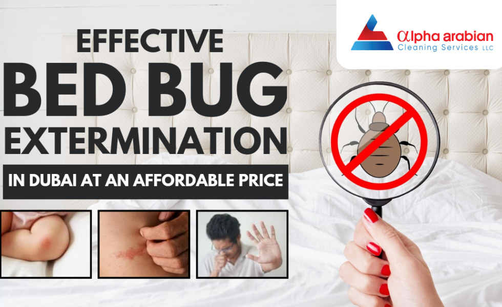 Effective Bedbug Extermination Service in Dubai at an affordable price