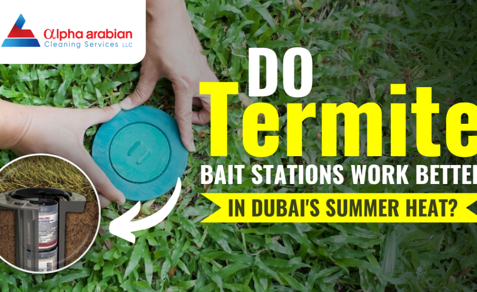 termite bait station service in Dubai