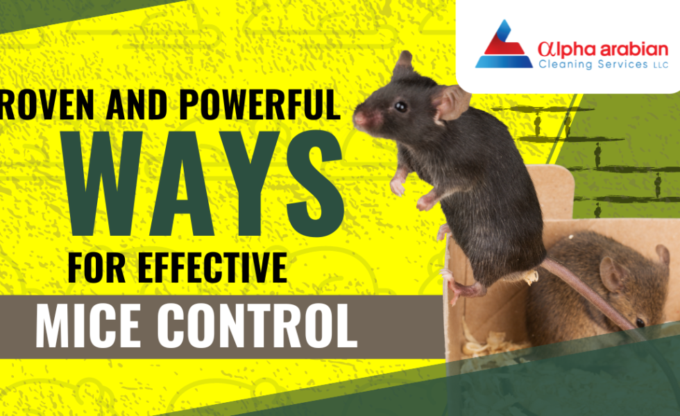 mice control service