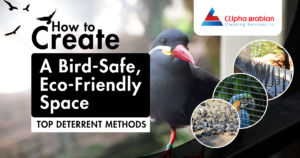 How to Create a Bird-Safe, Eco-Friendly Space: Top Bird Deterrent Methods