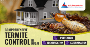 Professional Termite Control in Dubai