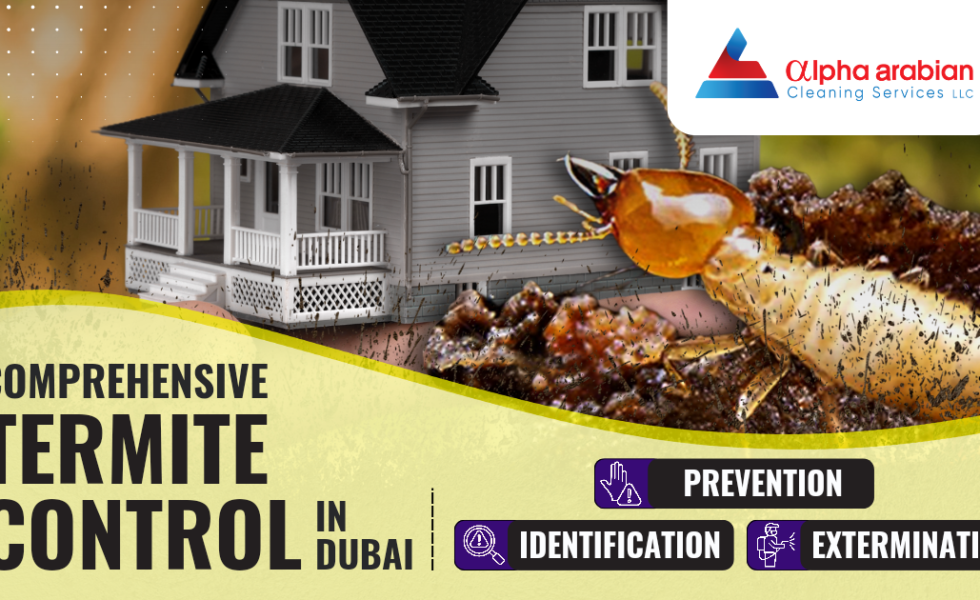 Professional Termite Control in Dubai