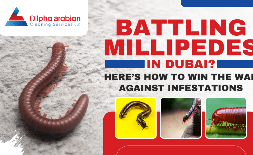 millipede infestation