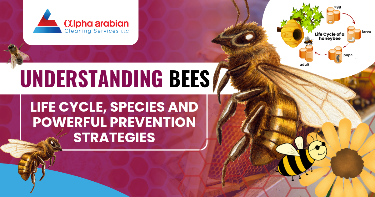 Understanding Bees: Life Cycle, Species And Powerful Prevention Strategies
