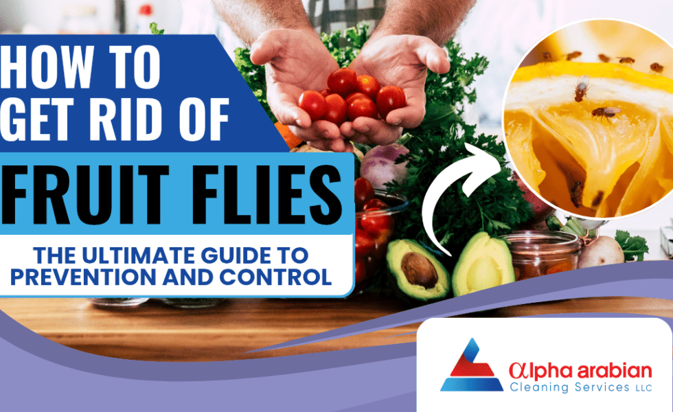 How to Get Rid of Fruit Flies: The Ultimate Guide to Prevention and Control