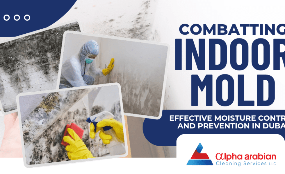 Combatting Indoor Mold: Effective Moisture Control and Prevention in Dubai