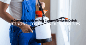 A Complete Guide to Pest Control Service in Dubai