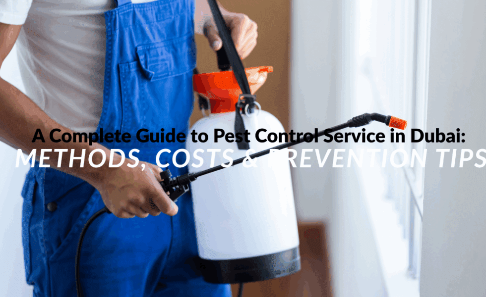 A Complete Guide to Pest Control Service in Dubai