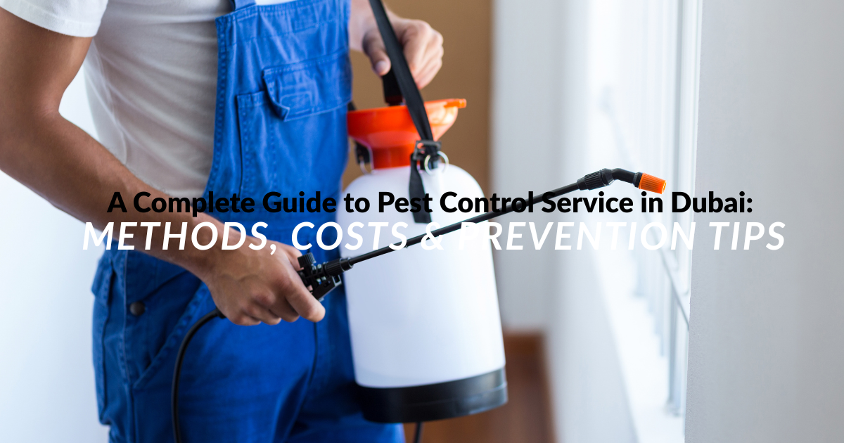 A Complete Guide to Pest Control Service in Dubai