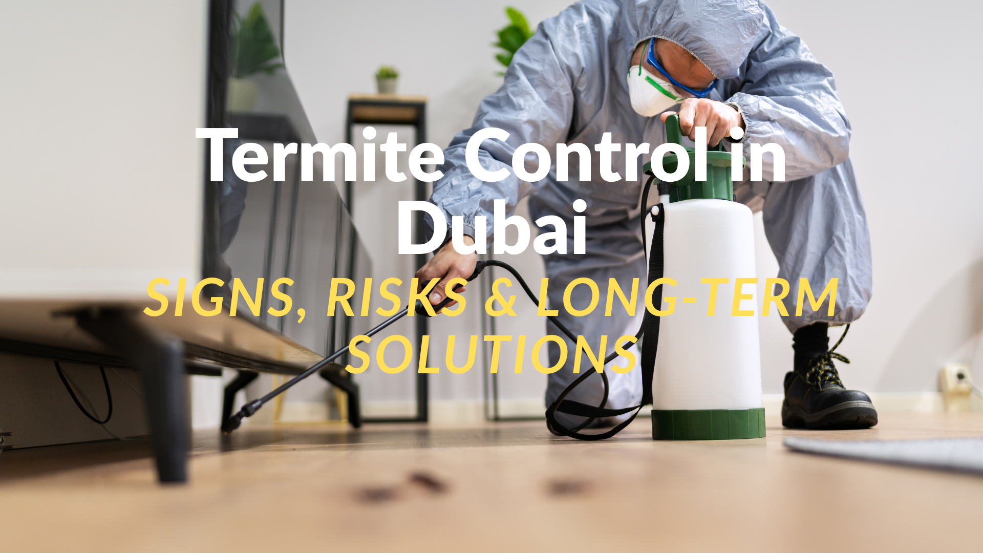Termite Control in Dubai