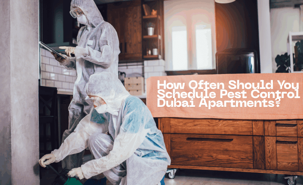 How Often Should You Schedule Pest Control in Dubai Apartments