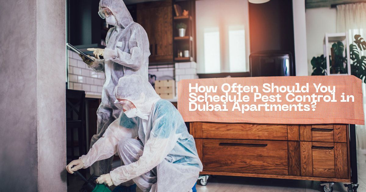 How Often Should You Schedule Pest Control in Dubai Apartments