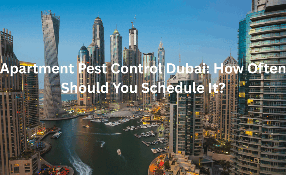Apartment Pest Control Dubai: How Often Should You Schedule It?